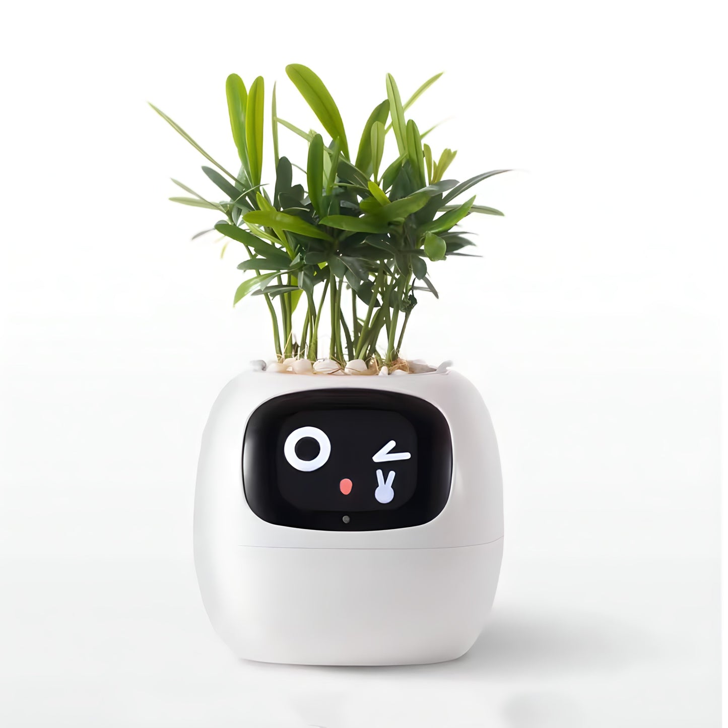 Ivy Smart Planter – Your Interactive Plant Companion