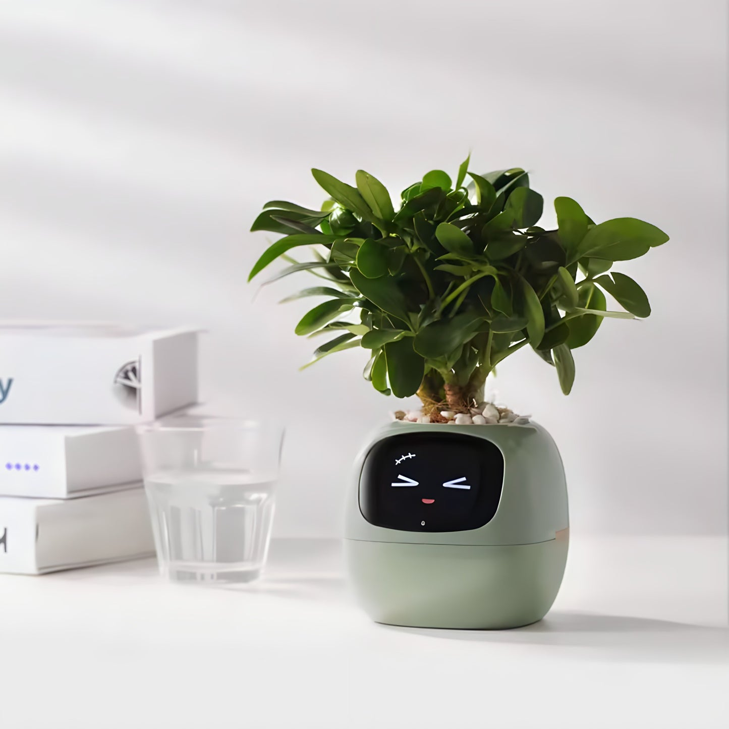 Ivy Smart Planter – Your Interactive Plant Companion