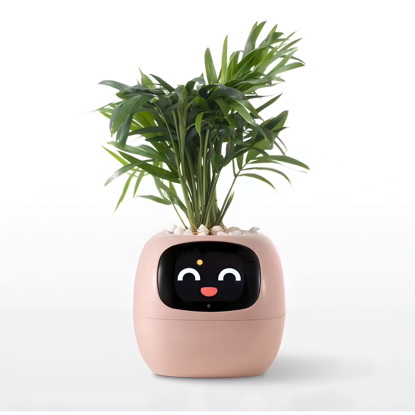 Ivy Smart Planter – Your Interactive Plant Companion