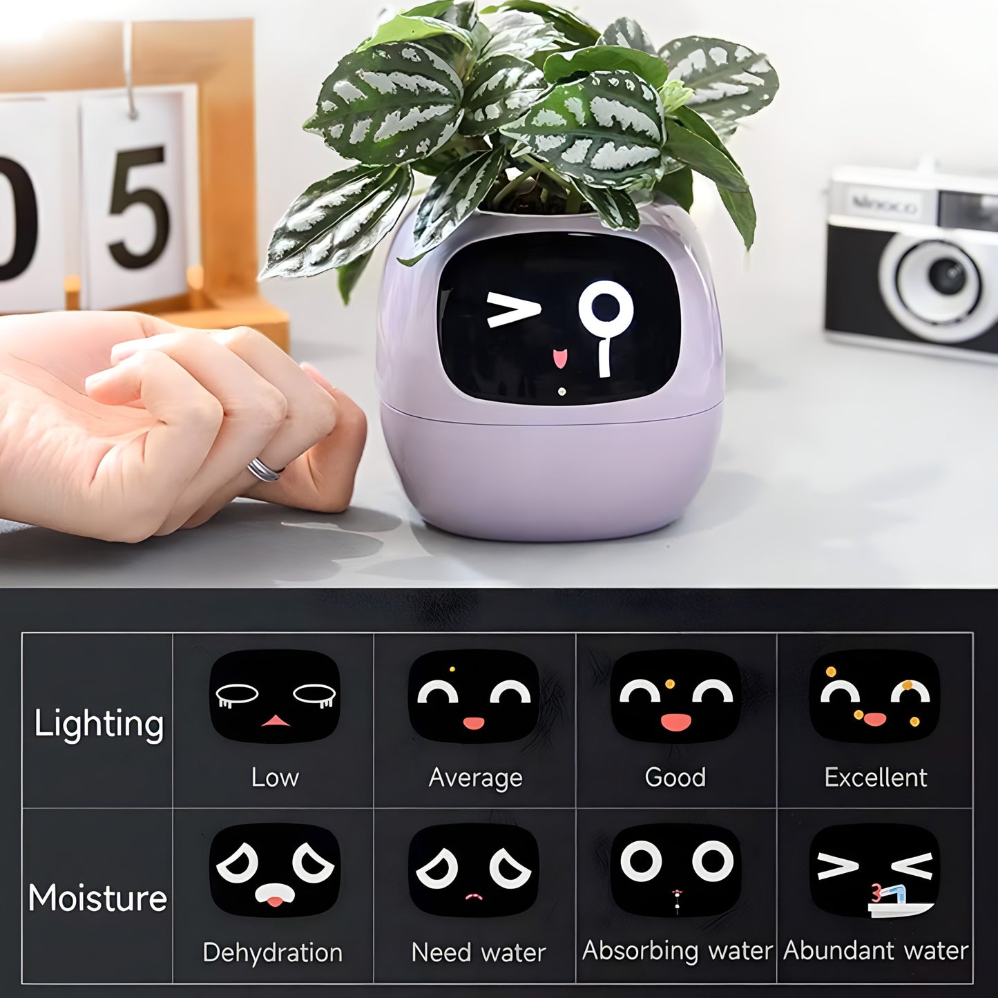 Ivy Smart Planter – Your Interactive Plant Companion