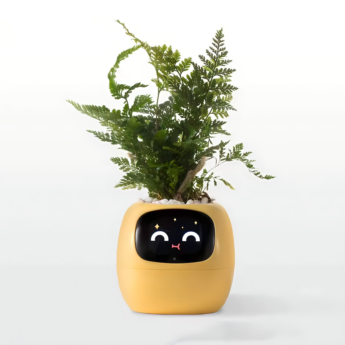 Ivy Smart Planter – Your Interactive Plant Companion